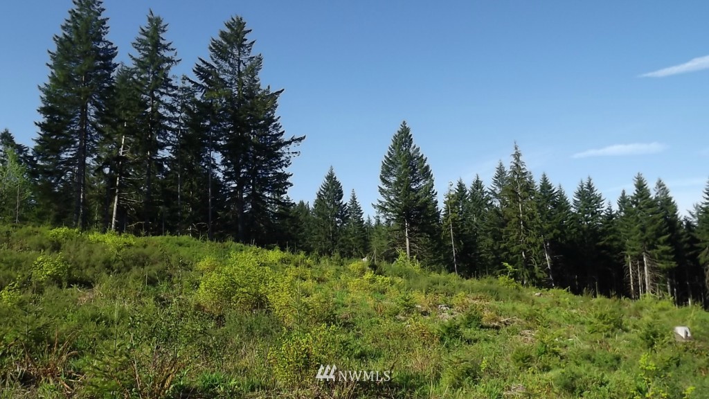 32 Schmitz Road Kalama, WA 98625 - Photo 9 of 10 Gallery Image 9