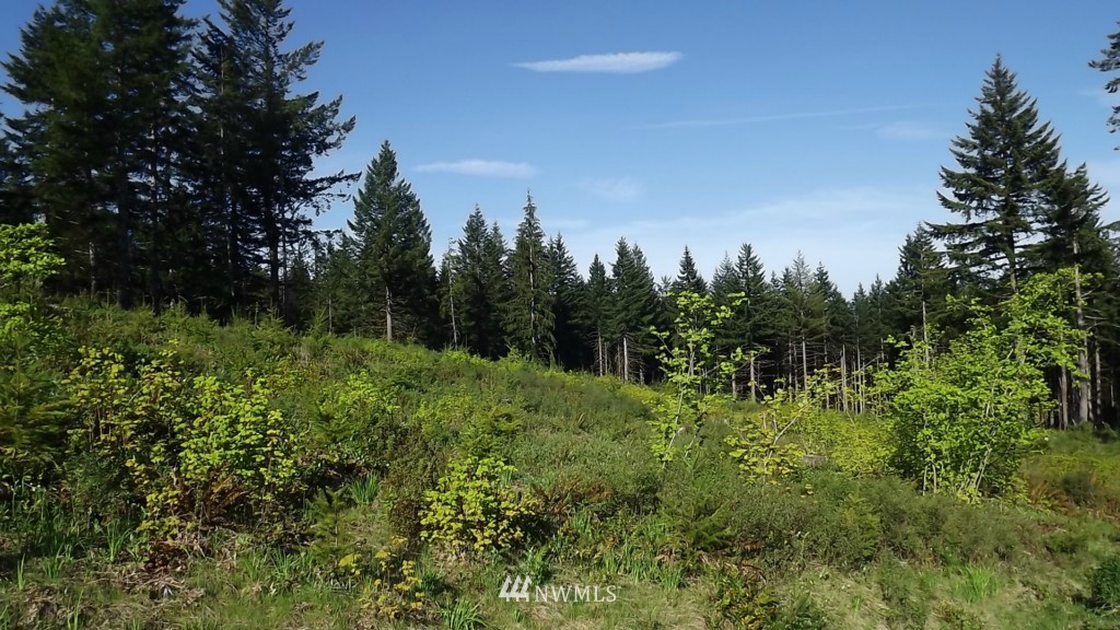 32 Schmitz Road Kalama, WA 98625 - Photo 10 of 10 Gallery Image 10