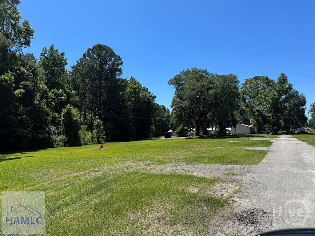 1200 Old Sunbury Road Hinesville, GA 31313 - Photo 4 of 4