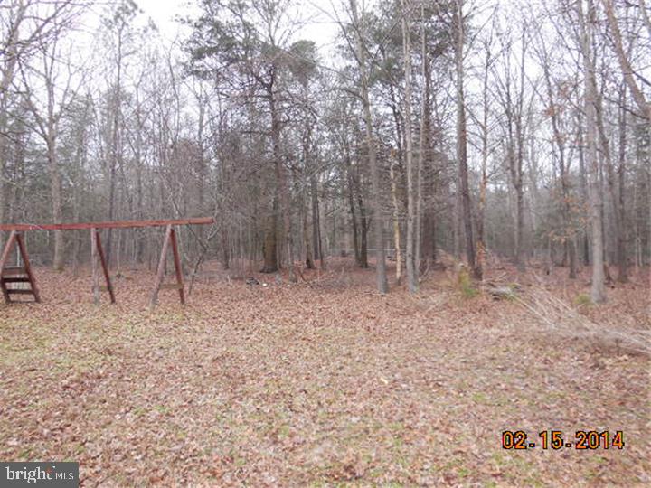 24326 Gravel Hill Road Georgetown, DE 19947 - Photo 21 of 25 Back Yard