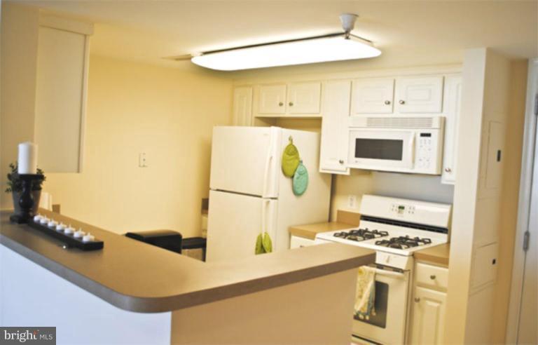11710 Old Georgetown Road, Unit 612 Rockville, MD 20852 - Photo 3 of 20 Kitchen
