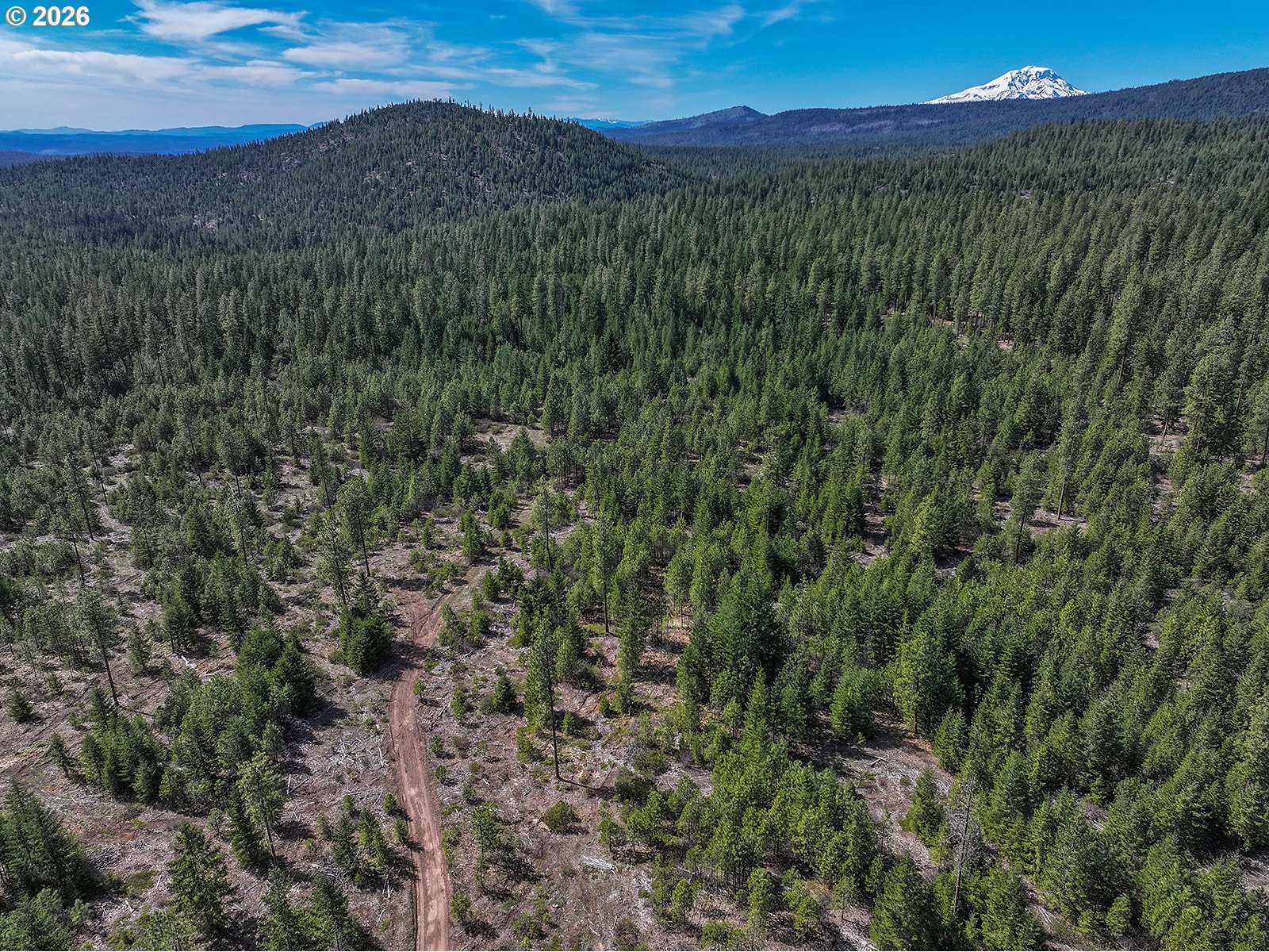 Cedar Valley Road Goldendale, WA 98620 - Photo 6 of 13 a view of a lush green forest with a mountain in the background