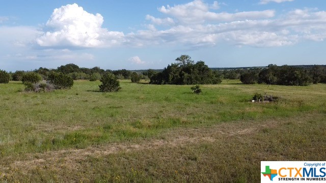 Tbd Tbd Waggener Ranch Road Winters, TX 79567 - Photo 6 of 25