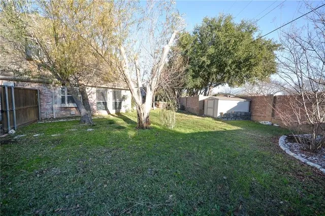 a view of a backyard with a tree