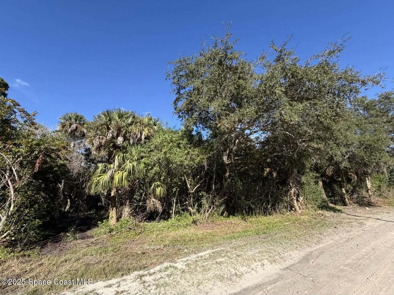 0 Hammock Road Mims, FL 32754 - Photo 18 of 35 597888934_1217131106957932_8644027007797