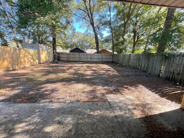 a view of a yard with plants and a large tree