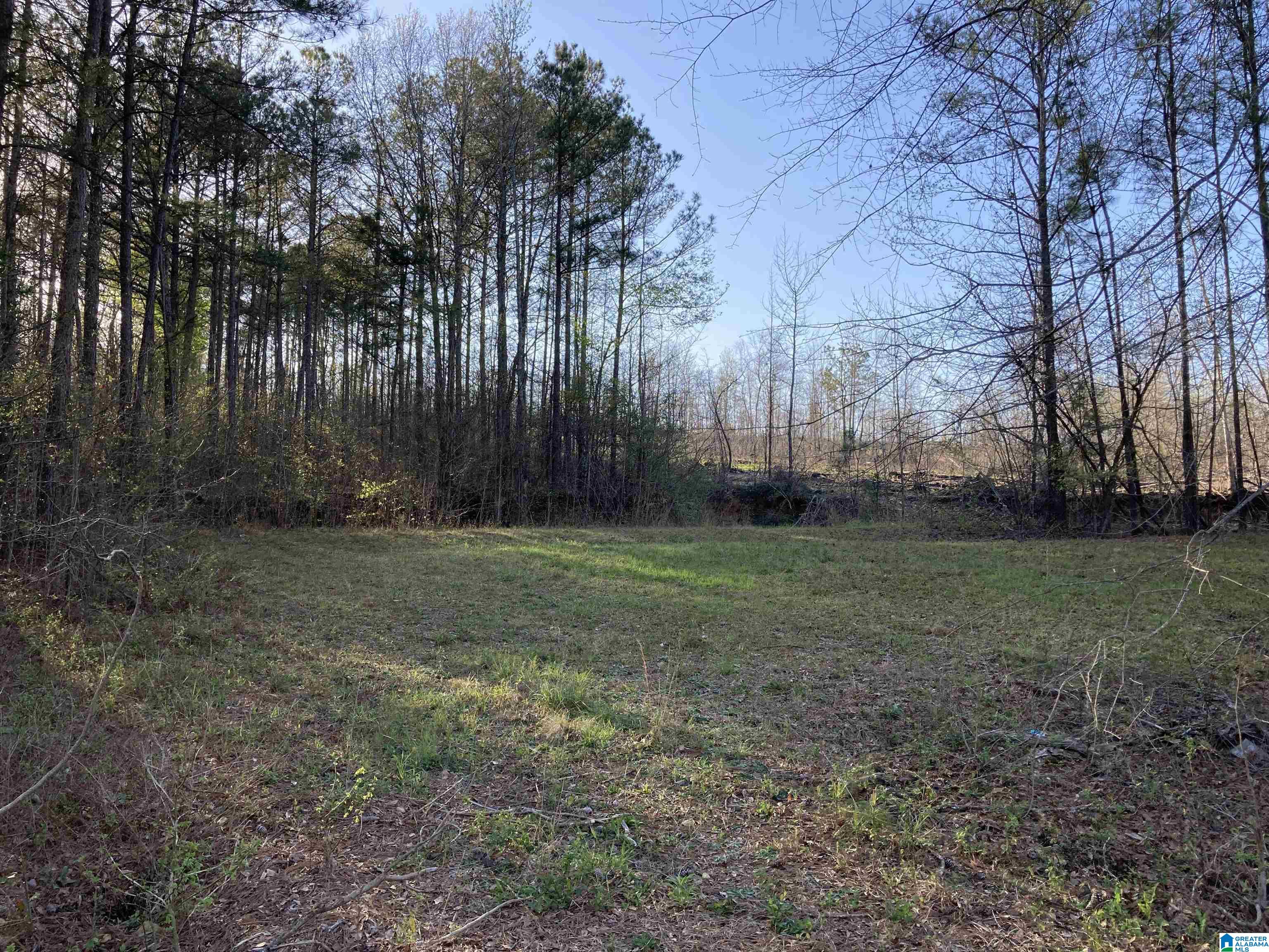 0 Jackson Trace Road, Unit 4 1 Talladega, AL 35160 - Photo 24 of 27