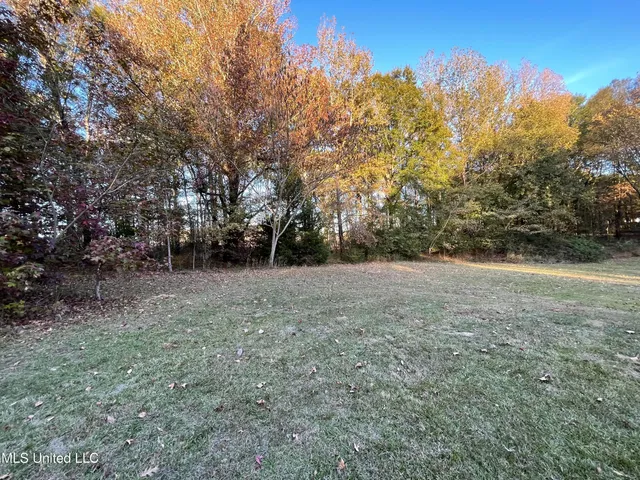 $55,000 | 3648 Molestage Slack Road, Pickens, MS 39146