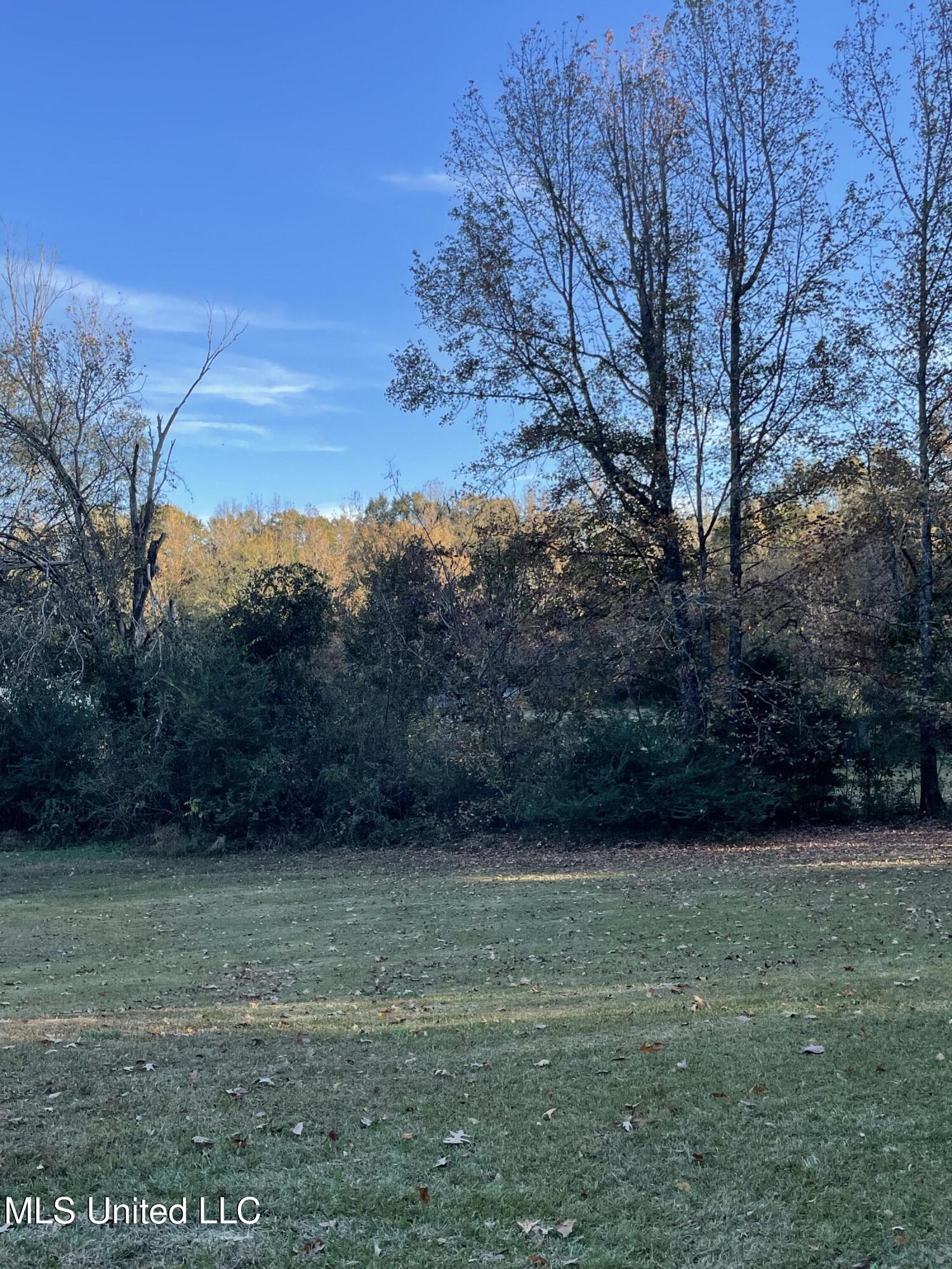 3648 Molestage Slack Road Pickens, MS 39146 - Photo 11 of 21 IMG_1341