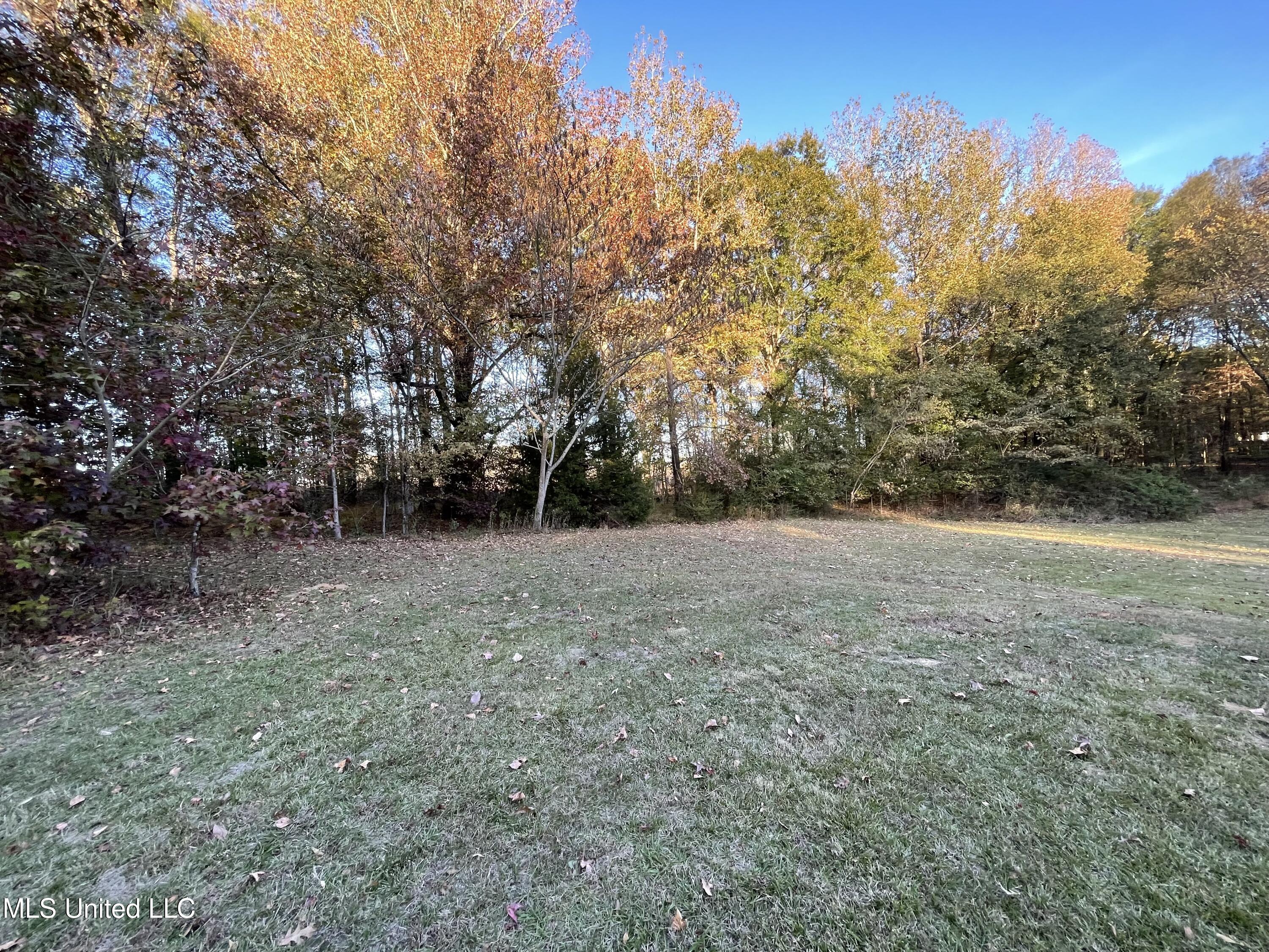 3648 Molestage Slack Road Pickens, MS 39146 - Photo 12 of 21 IMG_1346