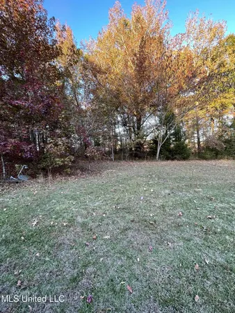 $55,000 | 3648 Molestage Slack Road, Pickens, MS 39146