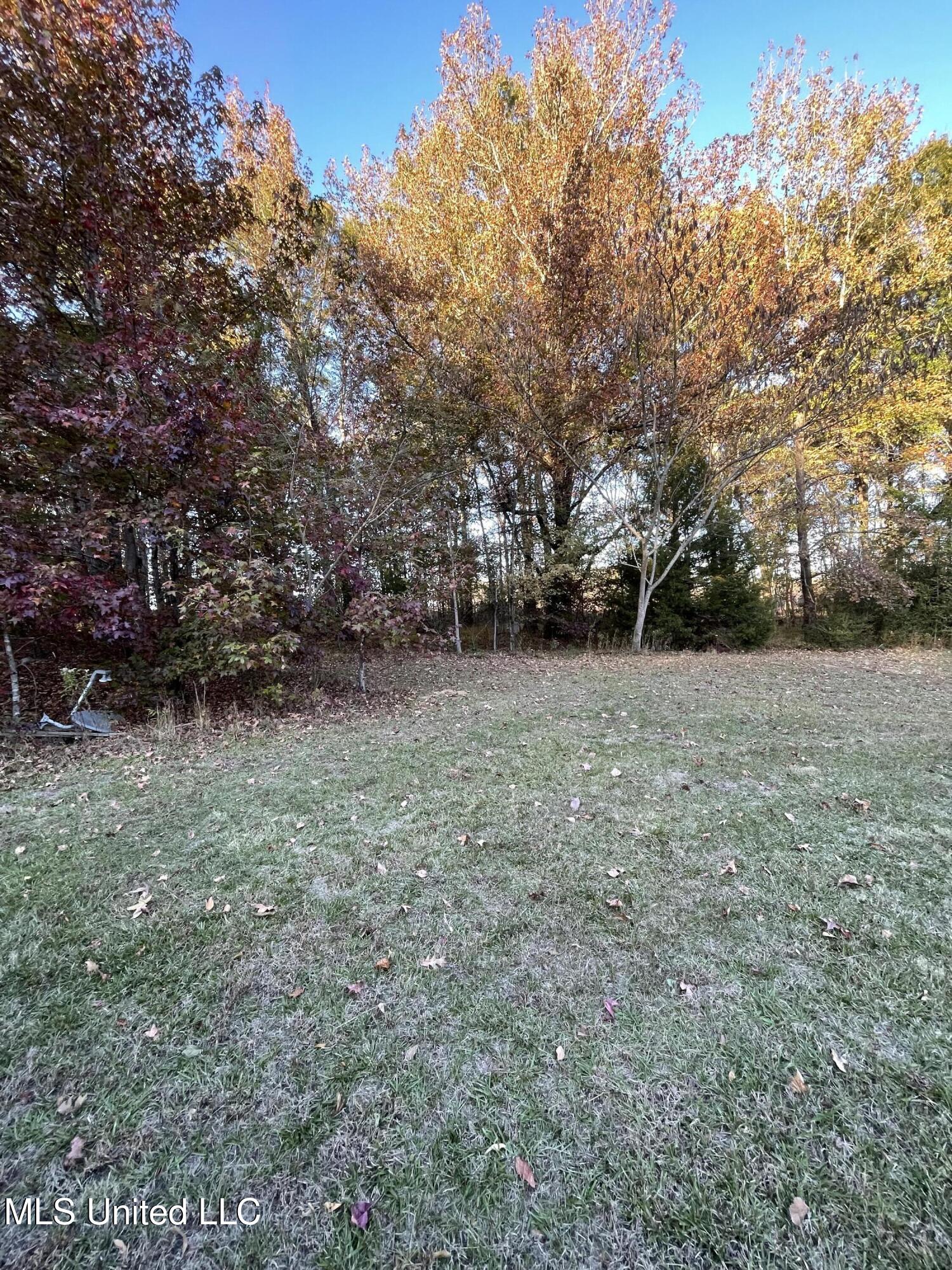 3648 Molestage Slack Road Pickens, MS 39146 - Photo 13 of 21 IMG_1345