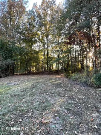 $55,000 | 3648 Molestage Slack Road, Pickens, MS 39146