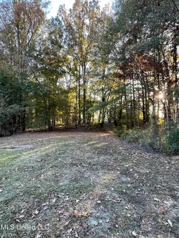 $55,000 | 3648 Molestage Slack Road, Pickens, MS 39146