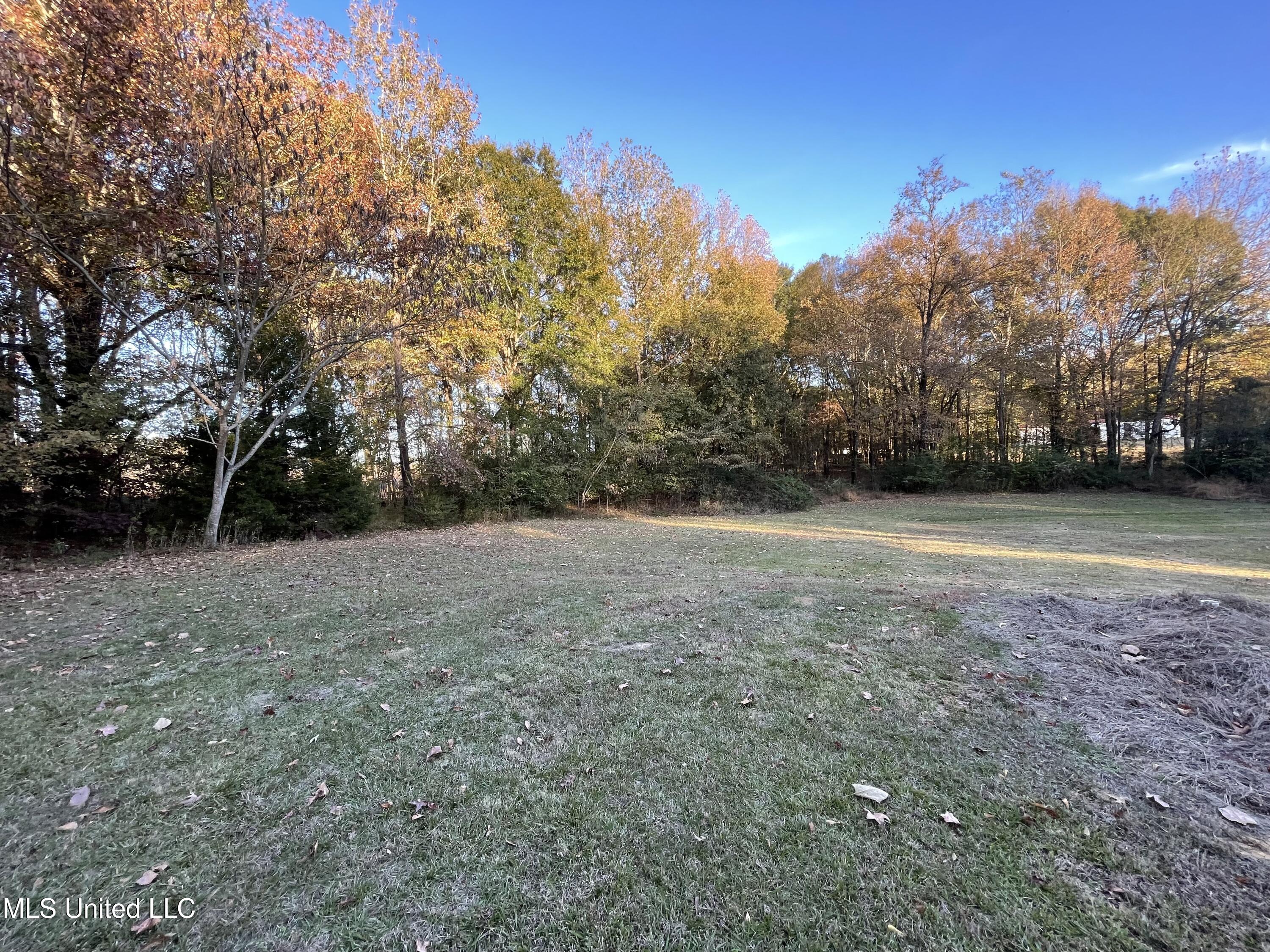 3648 Molestage Slack Road Pickens, MS 39146 - Photo 15 of 21 IMG_1347