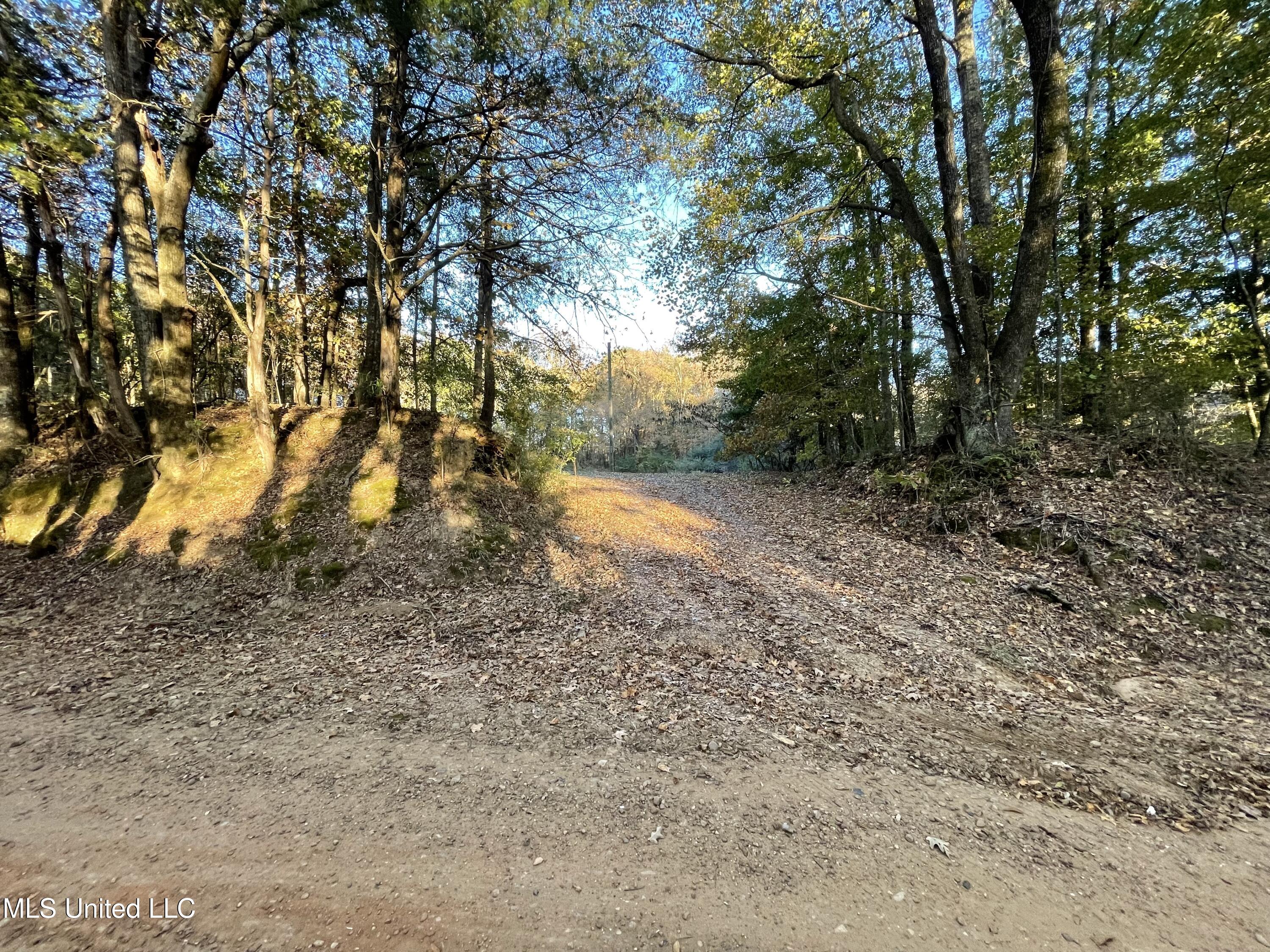 3648 Molestage Slack Road Pickens, MS 39146 - Photo 17 of 21 IMG_1361