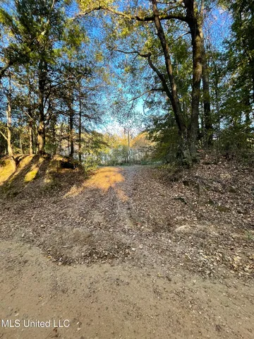 $55,000 | 3648 Molestage Slack Road, Pickens, MS 39146