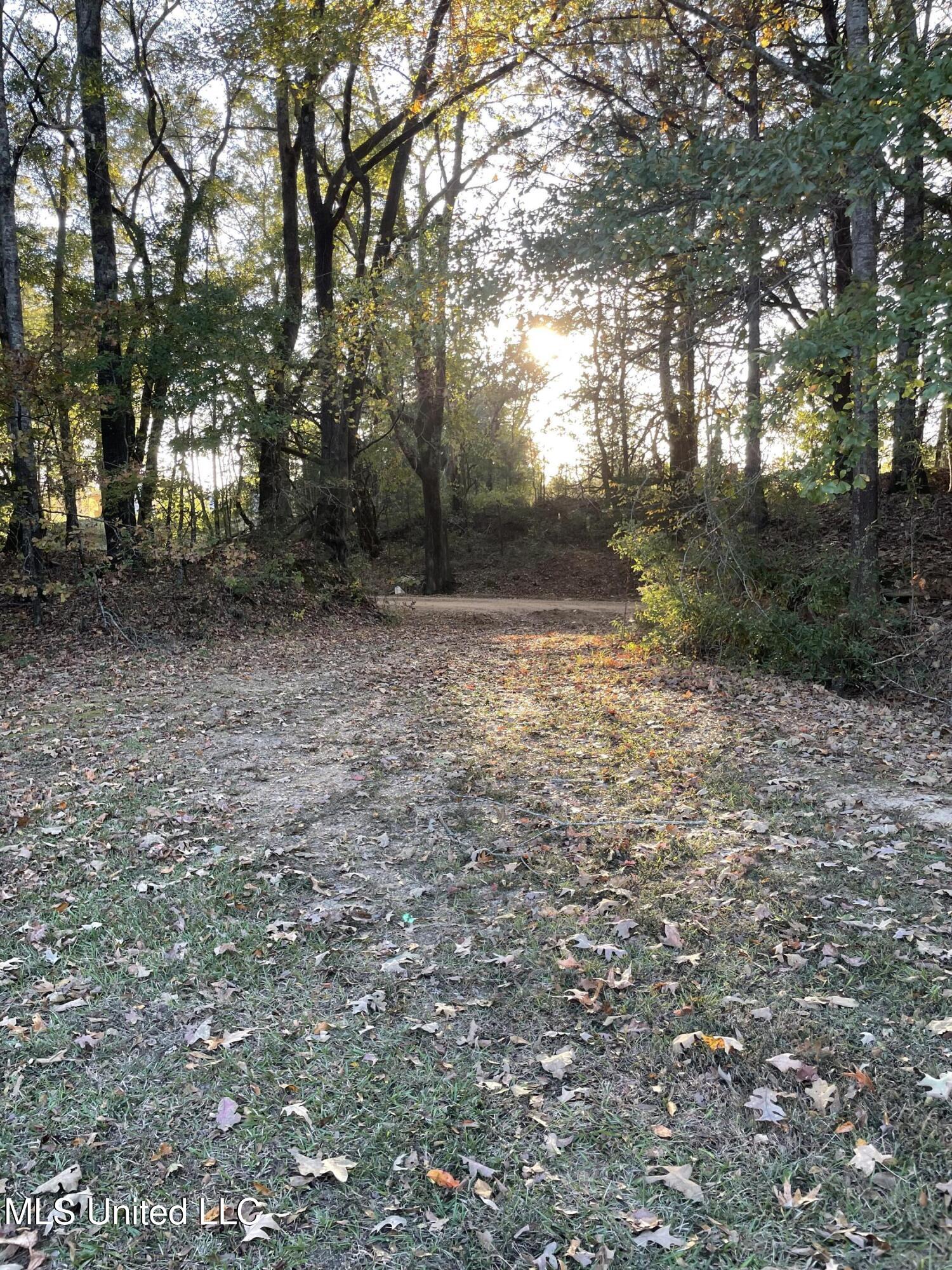 3648 Molestage Slack Road Pickens, MS 39146 - Photo 19 of 21 IMG_1357