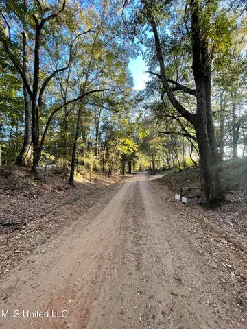 $55,000 | 3648 Molestage Slack Road, Pickens, MS 39146