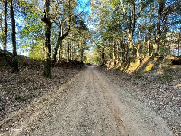 $55,000 | 3648 Molestage Slack Road, Pickens, MS 39146