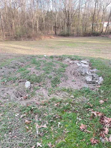 $55,000 | 3648 Molestage Slack Road, Pickens, MS 39146