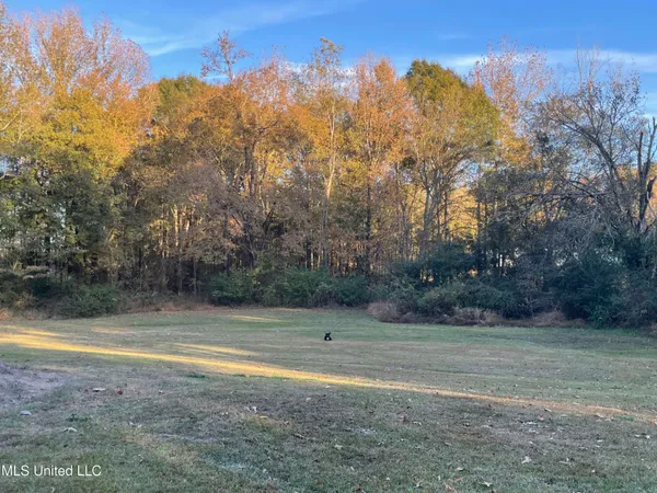 $55,000 | 3648 Molestage Slack Road, Pickens, MS 39146