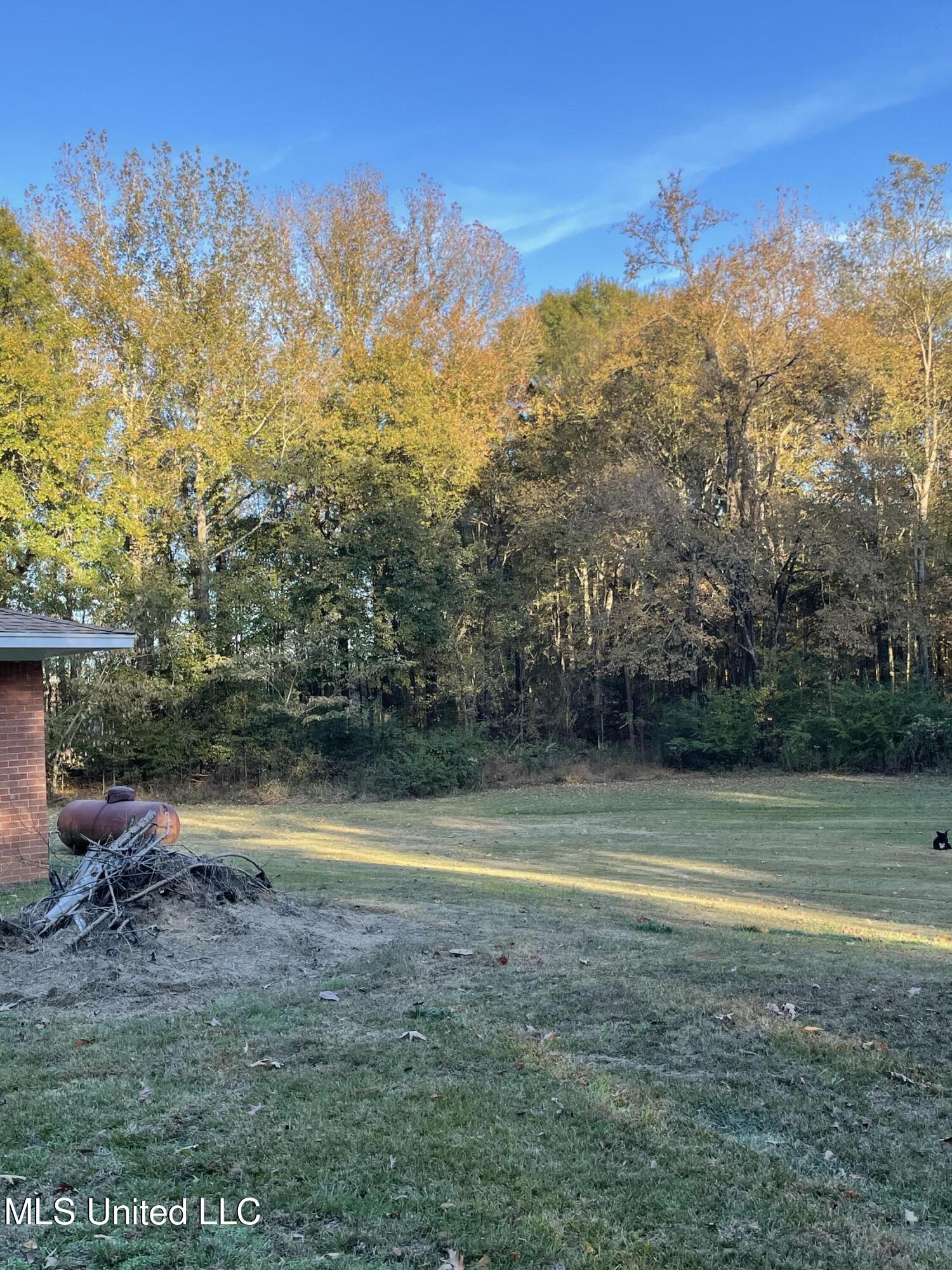 3648 Molestage Slack Road Pickens, MS 39146 - Photo 10 of 21 IMG_1340