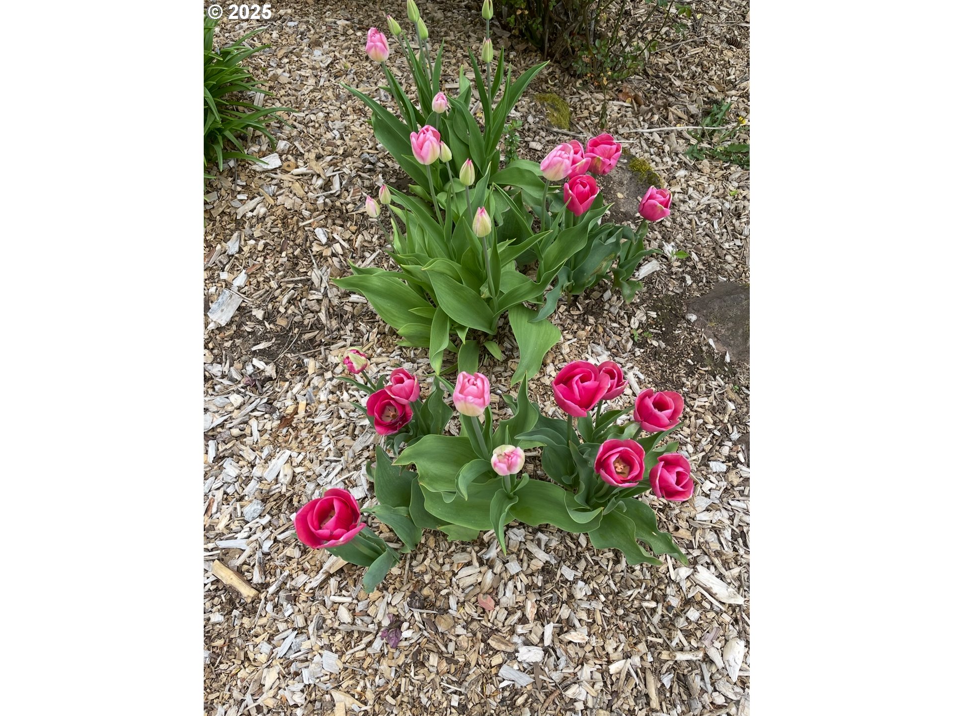 8918 Southwest Grabhorn Road Beaverton, OR 97007 - Photo 42 of 46