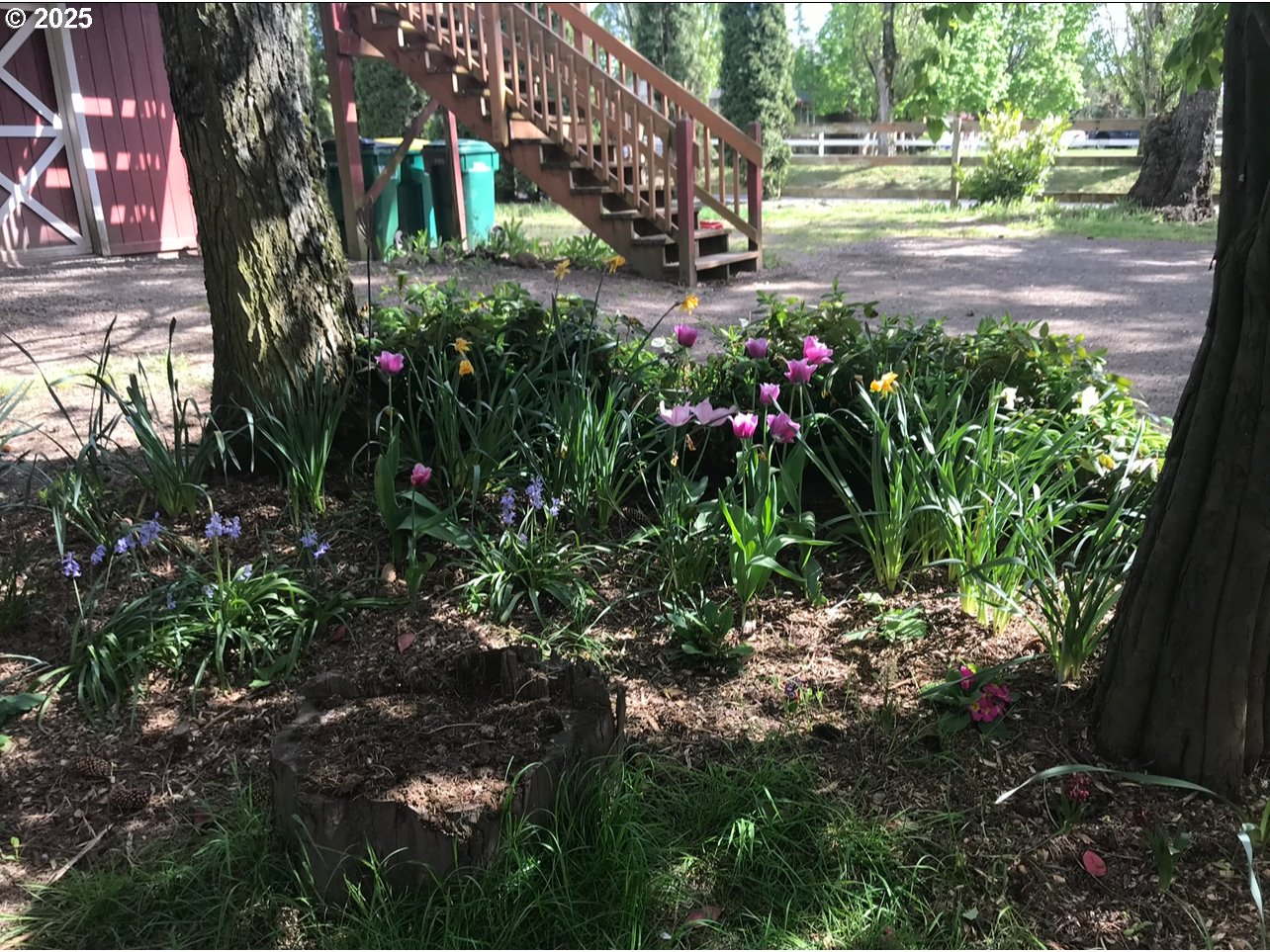 8918 Southwest Grabhorn Road Beaverton, OR 97007 - Photo 44 of 46 a view of yard with flower and trees