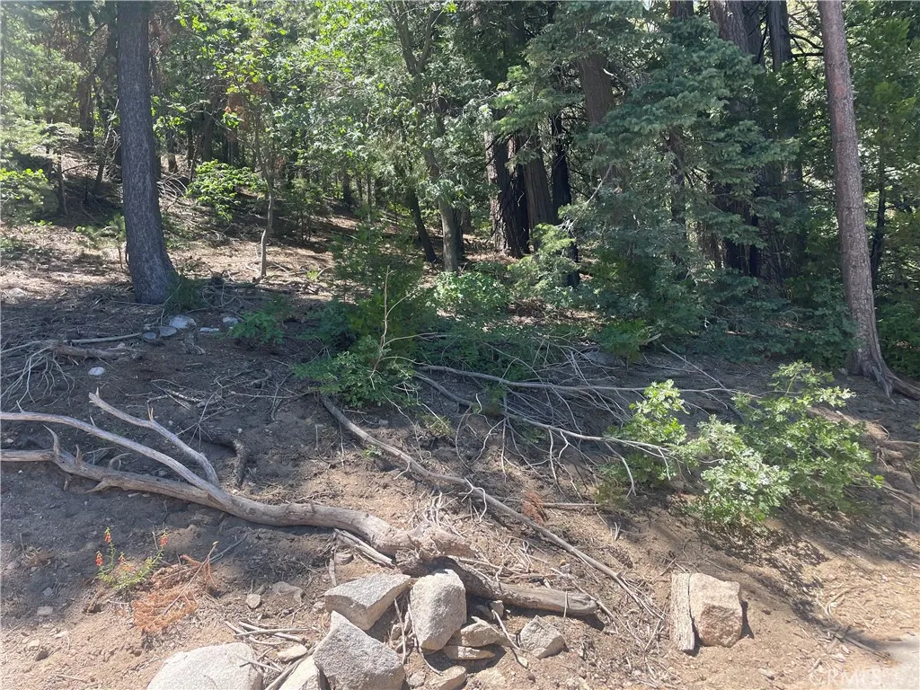 0 Strawberry Peak Road Rimforest, CA 92378 - Photo 1 of 1 Gallery Image 1