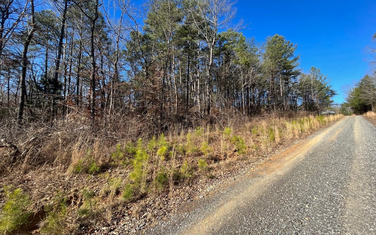 68.5 Hickory Grove Road Ringgold, GA 30736 - Photo 6 of 14 Additional View