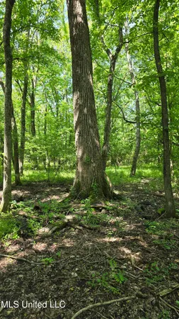 $81,600 | Malvina Road, Rosedale, MS 38769