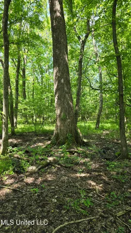 $81,600 | Malvina Road, Rosedale, MS 38769