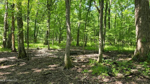 $81,600 | Malvina Road, Rosedale, MS 38769