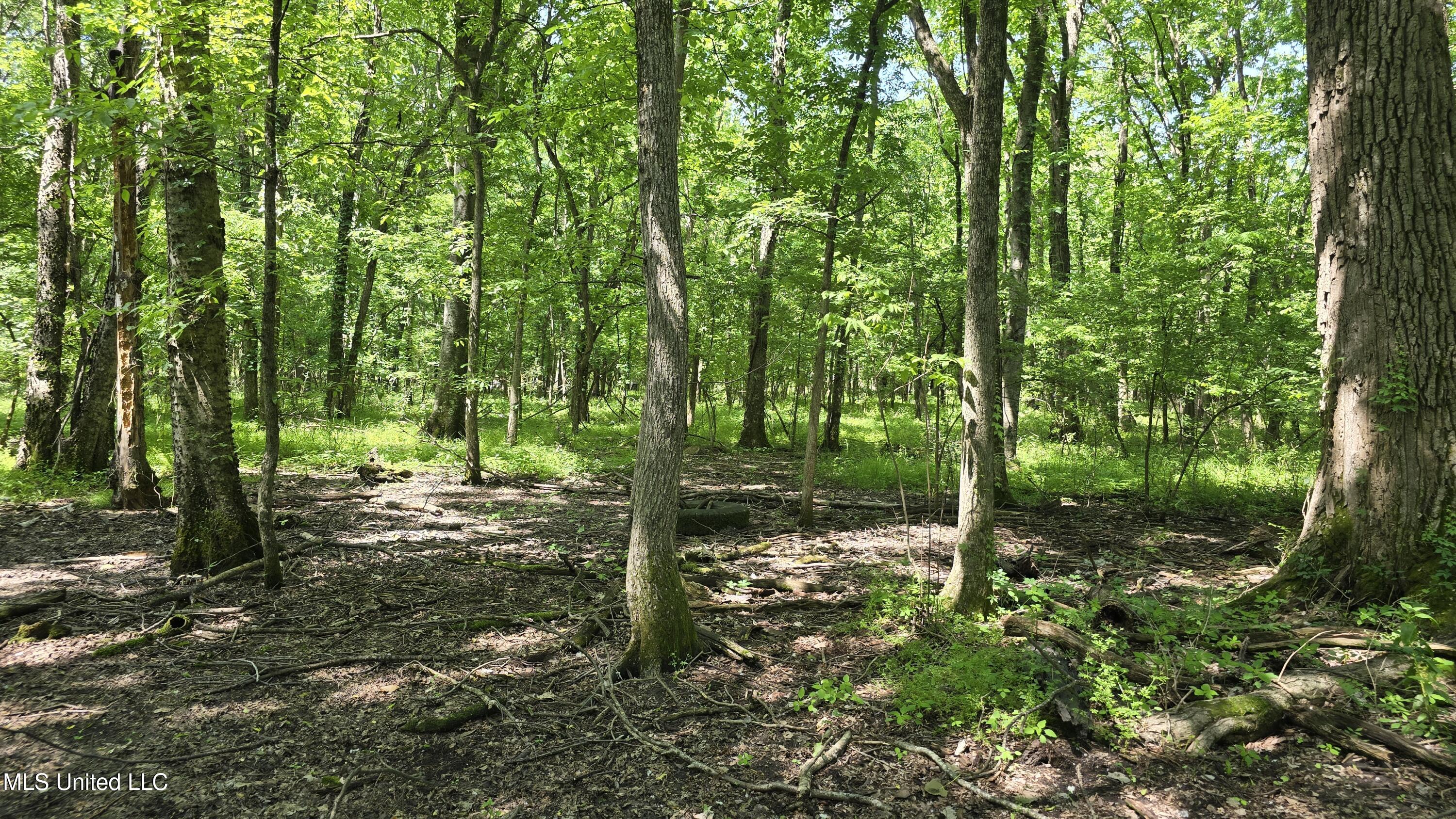 Malvina Road Rosedale, MS 38769 - Photo 15 of 24 20250428_114318