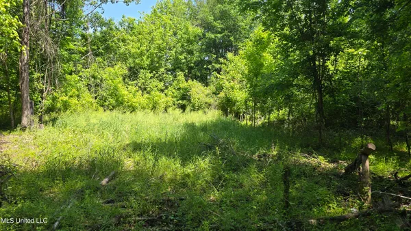 $81,600 | Malvina Road, Rosedale, MS 38769