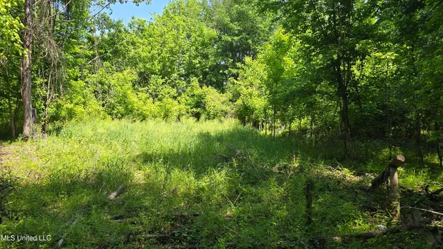 $81,600 | Malvina Road, Rosedale, MS 38769