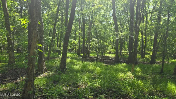 $81,600 | Malvina Road, Rosedale, MS 38769