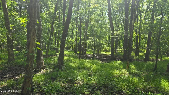 $81,600 | Malvina Road, Rosedale, MS 38769