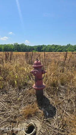 $81,600 | Malvina Road, Rosedale, MS 38769