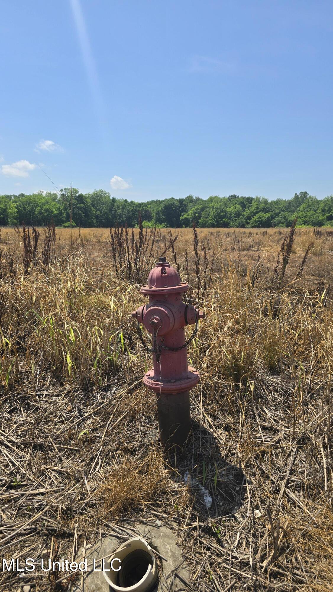 Malvina Road Rosedale, MS 38769 - Photo 19 of 24 20250428_115908