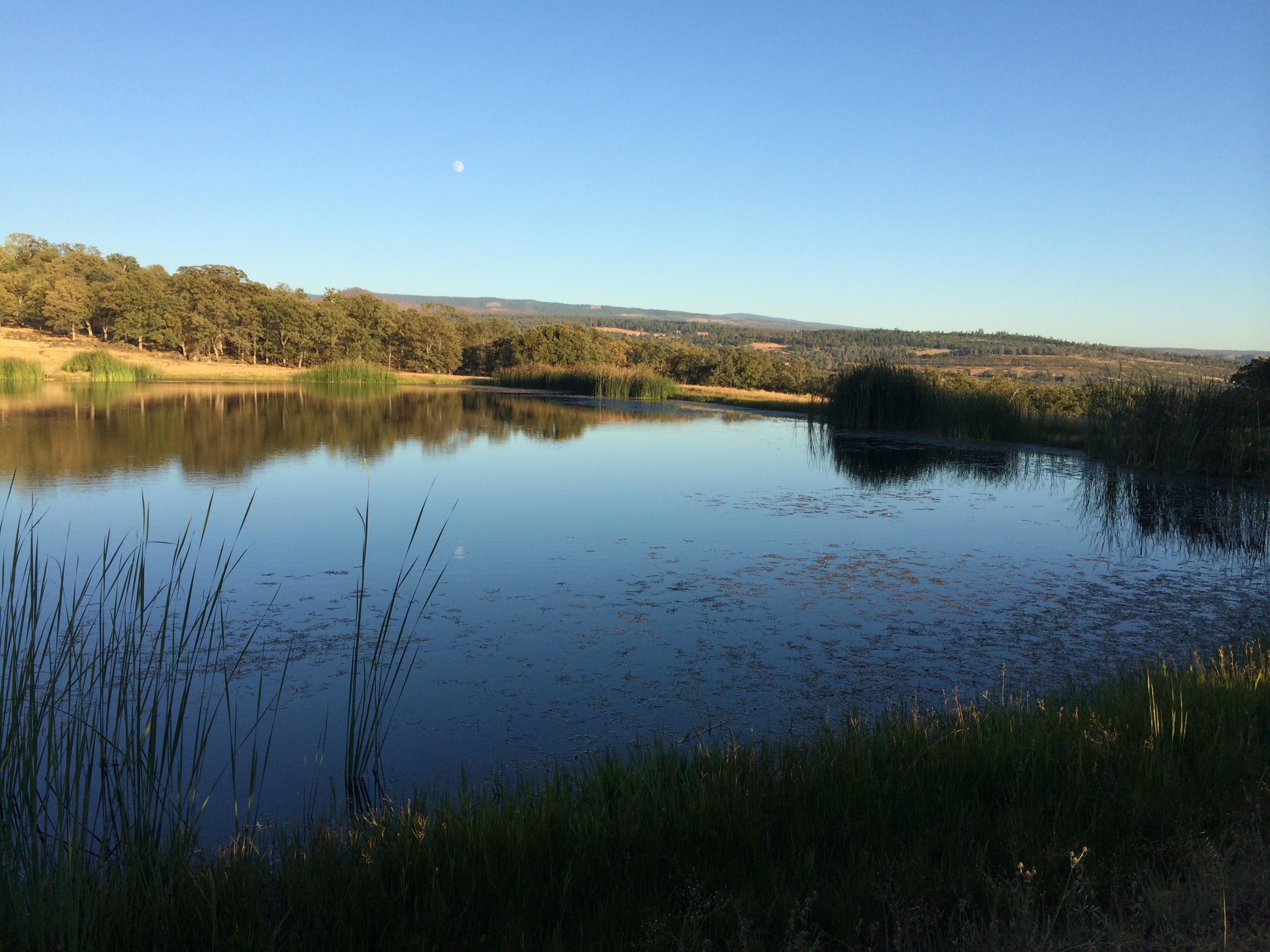 4955 Wilson Hill Road Manton, CA 96059 - Photo 1 of 89 Water Abundance