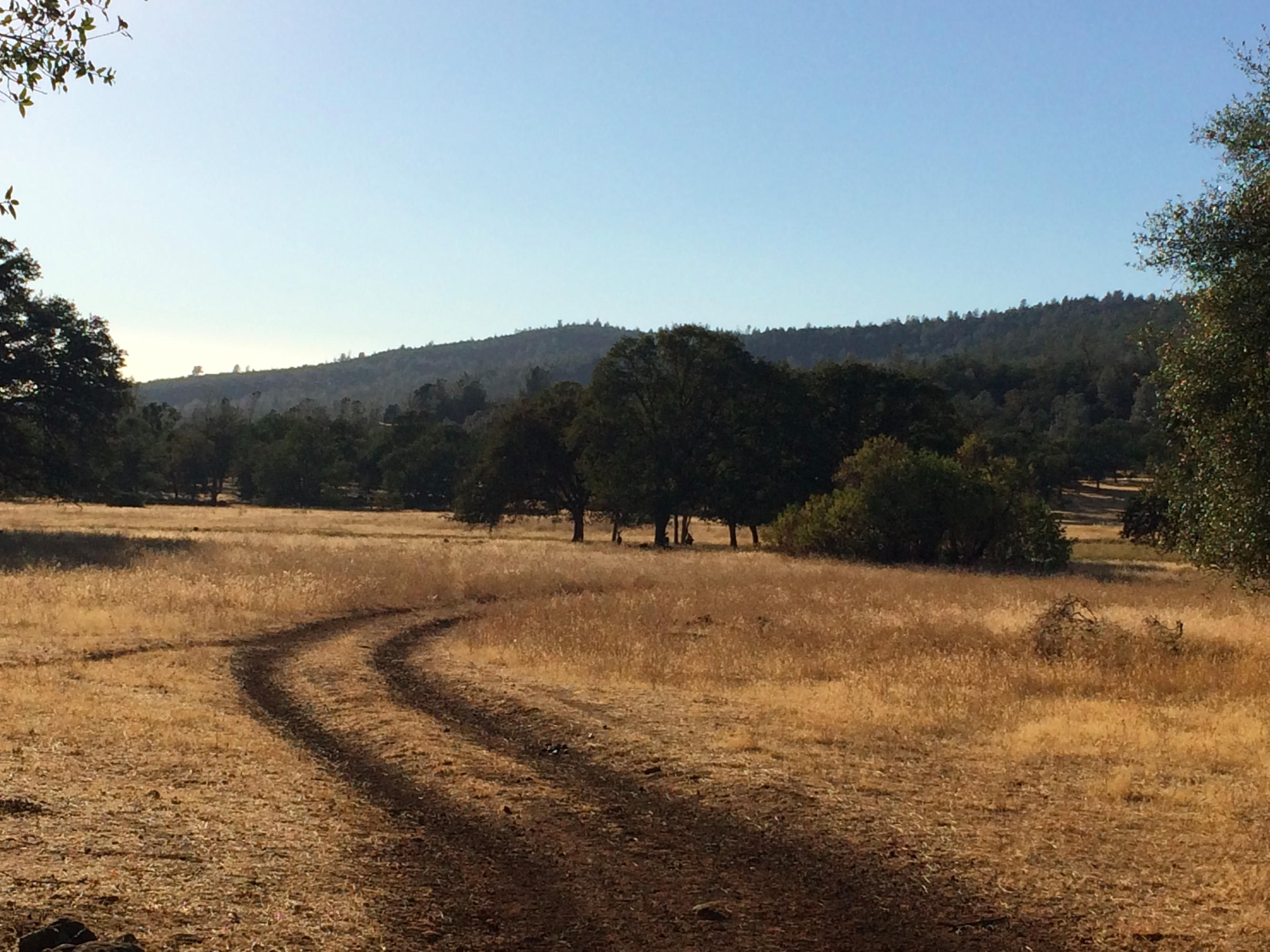 4955 Wilson Hill Road Manton, CA 96059 - Photo 13 of 89 IMG_8005