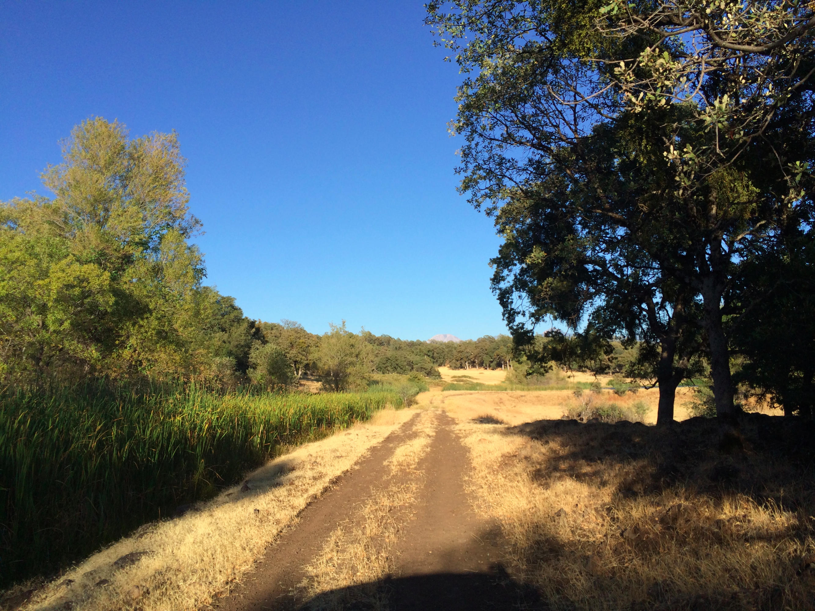 4955 Wilson Hill Road Manton, CA 96059 - Photo 15 of 89 IMG_8007