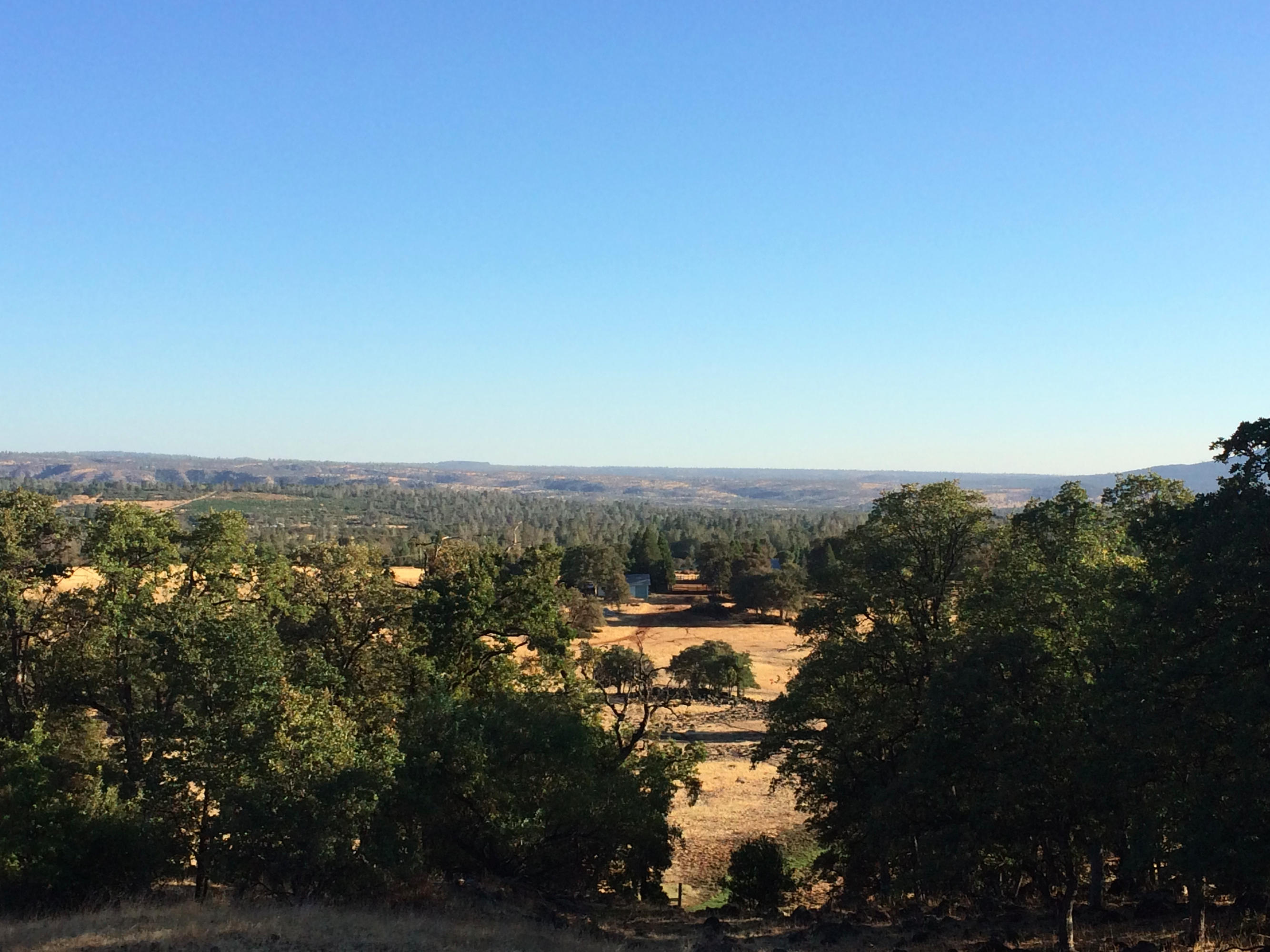 4955 Wilson Hill Road Manton, CA 96059 - Photo 22 of 89 IMG_8014