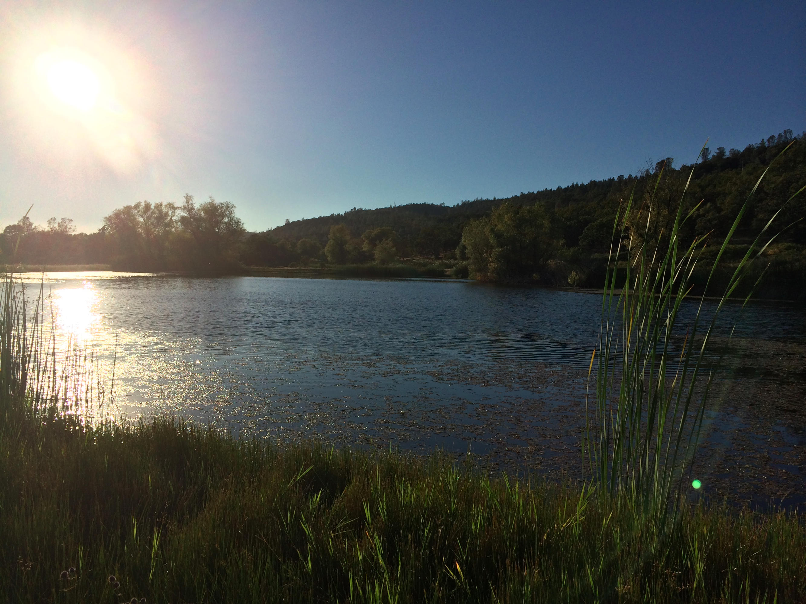 4955 Wilson Hill Road Manton, CA 96059 - Photo 26 of 89 IMG_8018