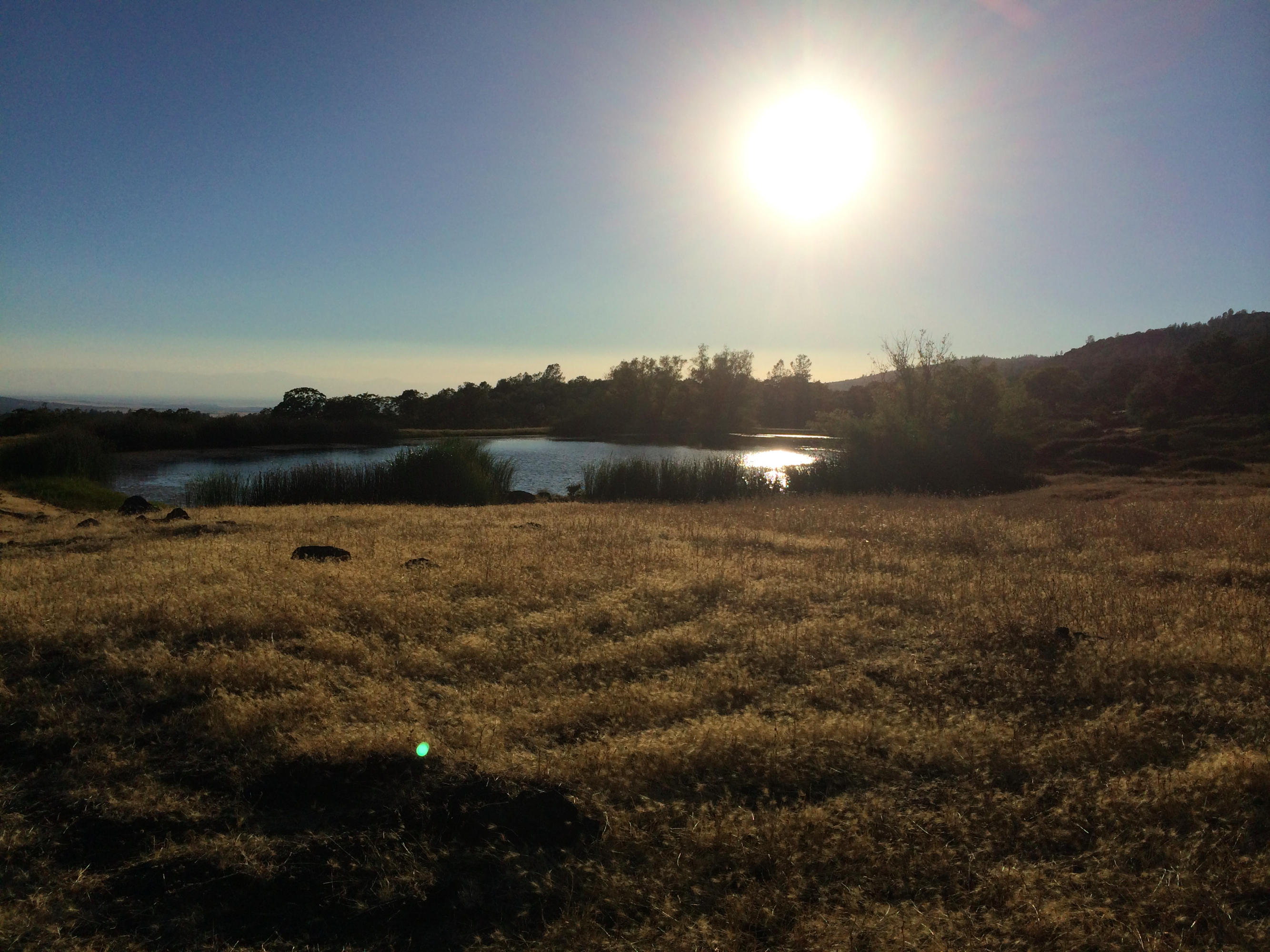 4955 Wilson Hill Road Manton, CA 96059 - Photo 27 of 89 IMG_8019