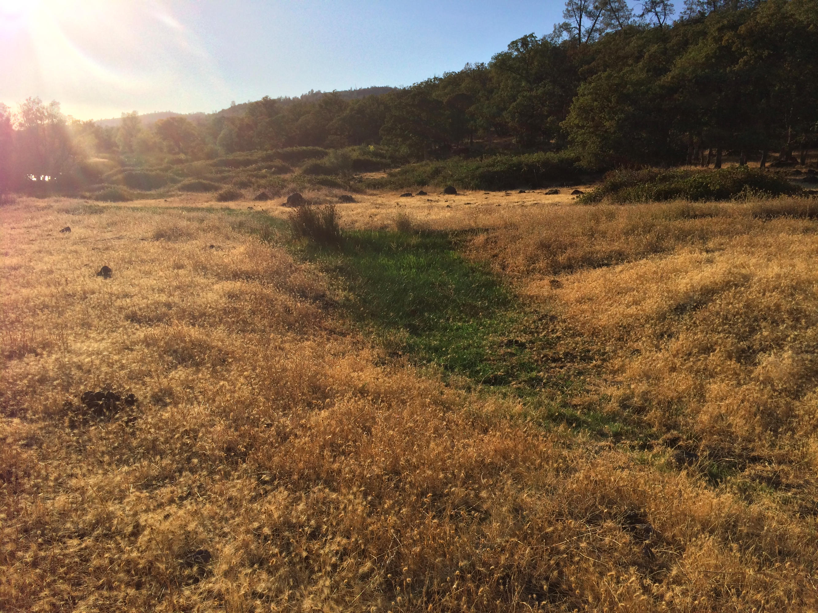 4955 Wilson Hill Road Manton, CA 96059 - Photo 29 of 89 IMG_8021
