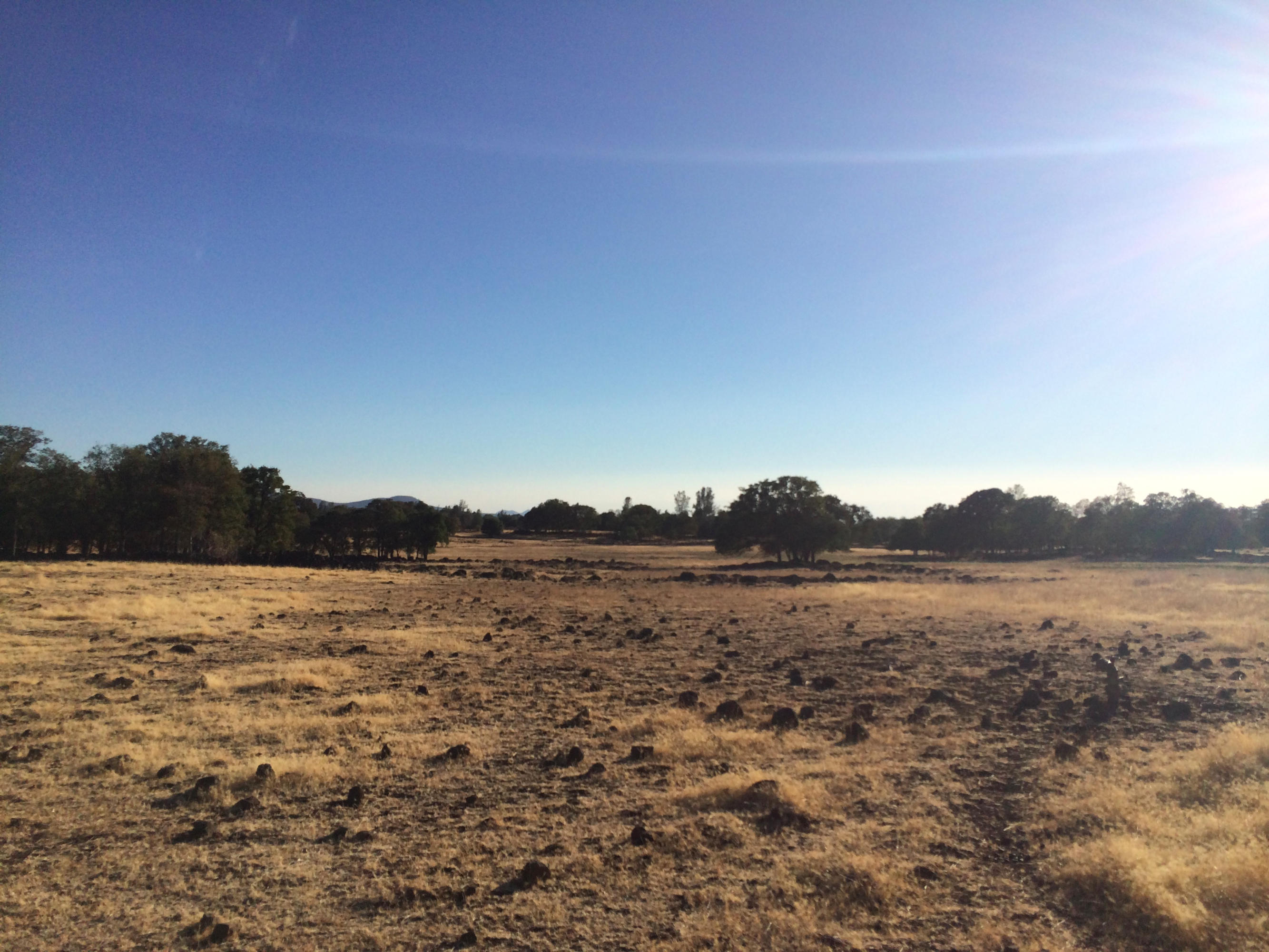 4955 Wilson Hill Road Manton, CA 96059 - Photo 3 of 89 IMG_7991