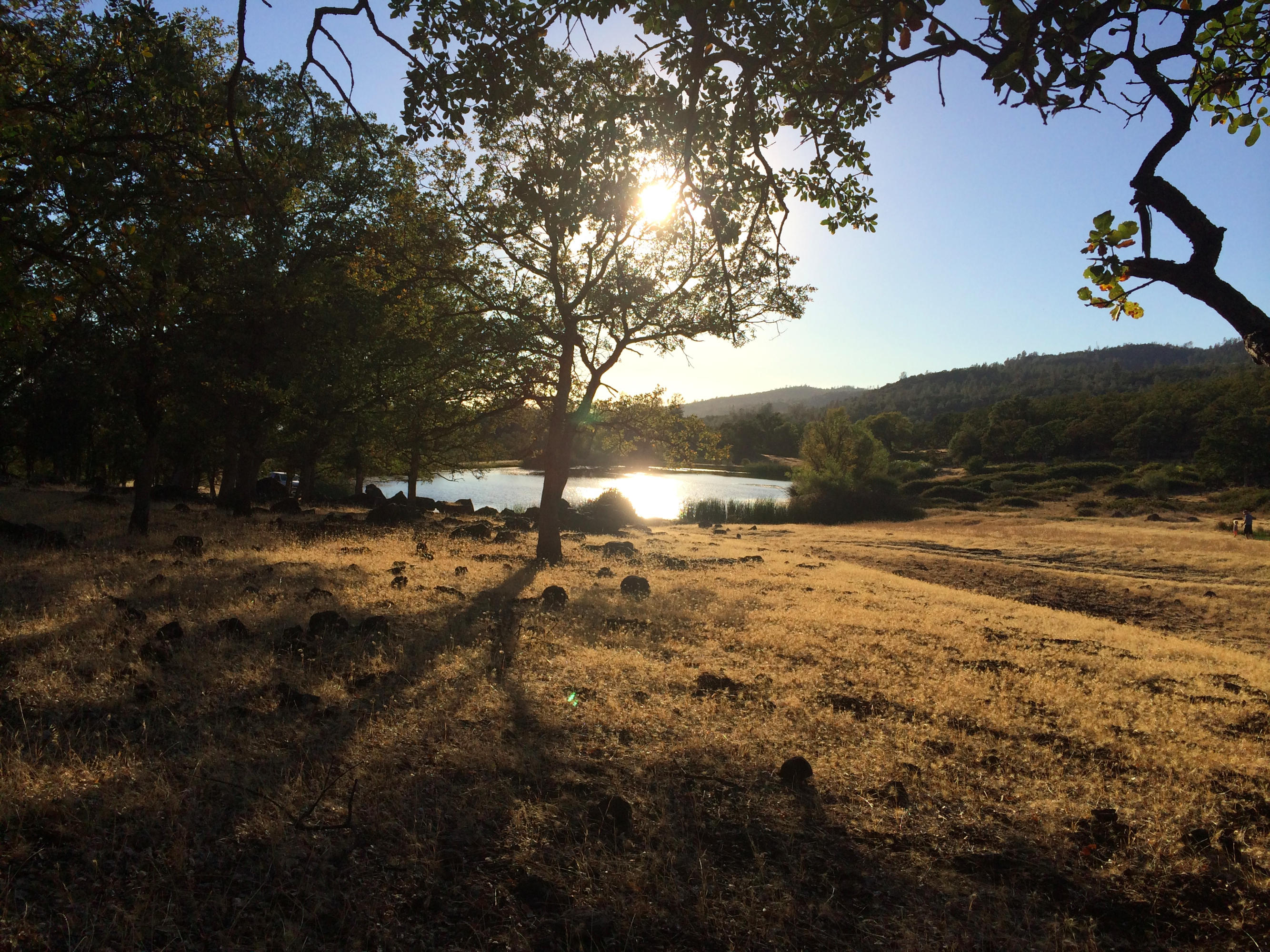 4955 Wilson Hill Road Manton, CA 96059 - Photo 32 of 89 IMG_8024